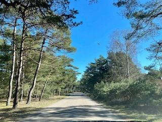 Ferienhaus Höllviken  23