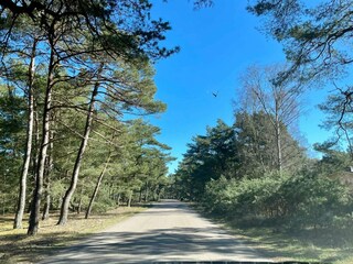 Vakantiehuis Höllviken  28