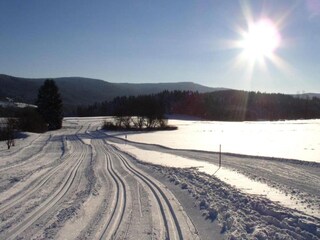 Apartamento Sankt Englmar Entorno 10