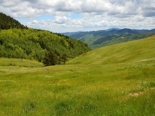 Casa de vacaciones Modigliana Entorno 29