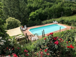 Ferienhaus Modigliana Außenaufnahme 15