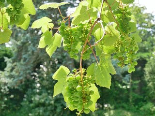 Casa de vacaciones Kamperland  22