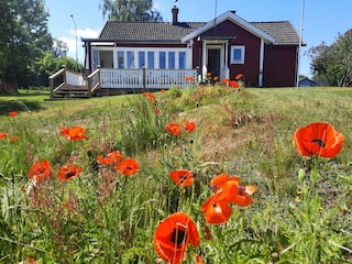 Ferienhaus Holmsjö Außenaufnahme 3