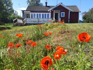 Holiday house Holmsjö Outdoor Recording 2