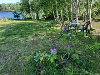 Holiday house Holmsjö  20