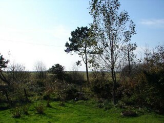 Ferienhaus Glommen Umgebung 7