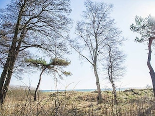 Ferienhaus Anderslöv Umgebung 20
