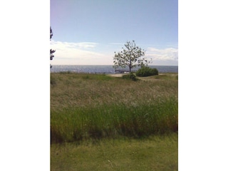 Ferienhaus Anderslöv Umgebung 21