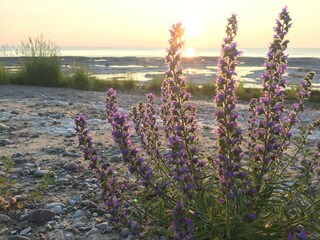 Ferienhaus Löttorp Ausstattung 18
