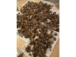 Ferienhaus Nyköping Außenaufnahme 2