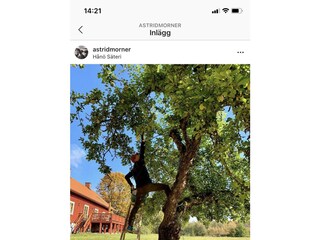 Ferienhaus Nyköping Außenaufnahme 3