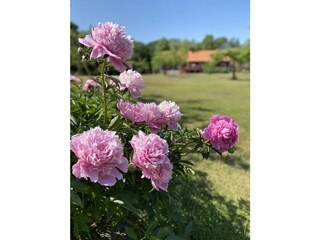 Ferienhaus Nyköping Umgebung 17