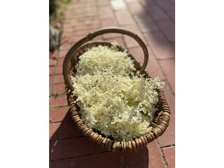 Ferienhaus Nyköping Umgebung 19