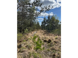 Ferienhaus Hamneda Umgebung 20