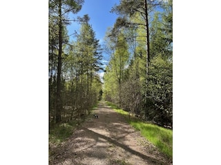 Ferienhaus Hamneda Umgebung 22