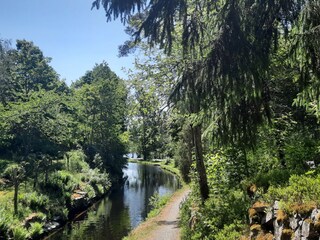 Ferienhaus Bengtsfors Umgebung 16