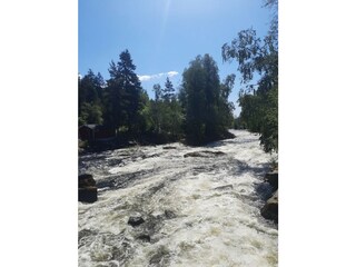 Ferienhaus Bengtsfors Umgebung 19
