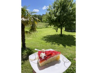 Hausgemachter Kuchen in der Erdbeersaison