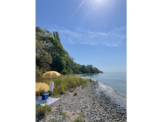 Badetag in Meersburg