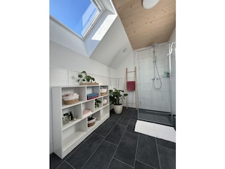 Tageslicht- Badezimmer mit Regendusche