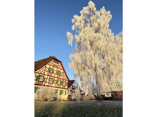Der Winkelhof im Winter