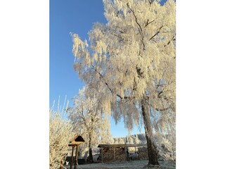 Der Winkelhof im Winter