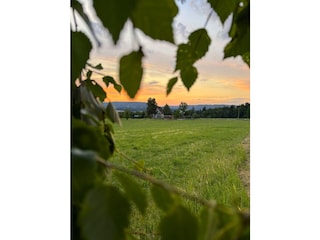 Sonnenuntergang auf den weiten Wiesen