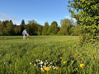 weite Wiesen zum Toben