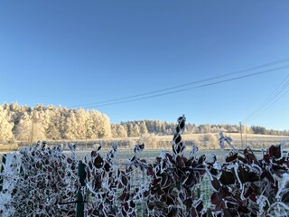 Der Winkelhof im Winter