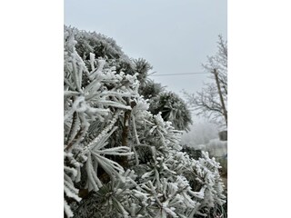 Der Winkelhof im Winter