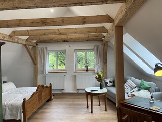 Das großzügige Schlaf- und Wohnzimmer im DG