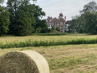 Schlosspark und Schloss in Basedow