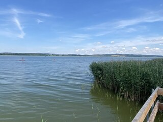 Lake Malchin is ideal for swimming and aquatic sports