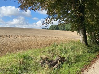 Weg nach Seedorf zum Malchiner See