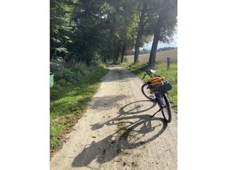 Rad- und Wanderweg zwischen Basedow und Seedorf