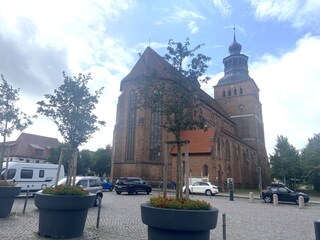 Holiday apartment Basedow Environment 37