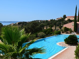 Pool at free disposition