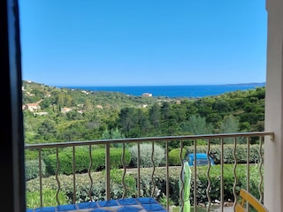 Aussicht der Wohnung Oleander