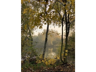 Die nahegelegenen Teiche im Herbst.