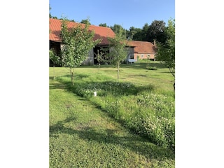 Rückseite vom Hof mit Garten