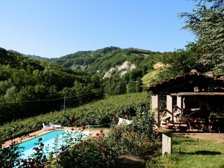 Ferienhaus Modigliana Außenaufnahme 8