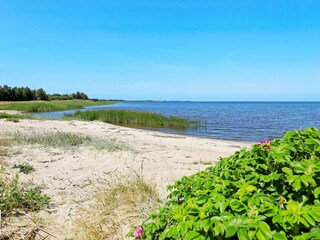 Maison de vacances Ulfborg  3