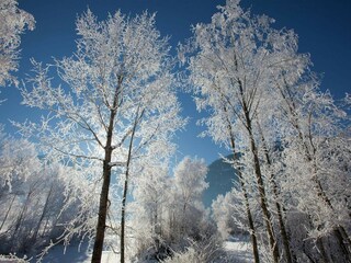 Holiday house Hollersbach im Pinzgau Environment 23