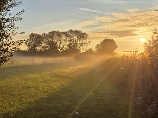 Morgenblick vom großen Feld auf die Wohnungen