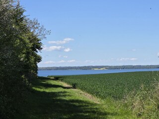 Zugang von den Apartments zum Strand, ca. 300 Meter zu