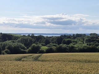 die wunderschöne Insel Langeland