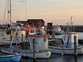 die wunderschöne Insel Langeland