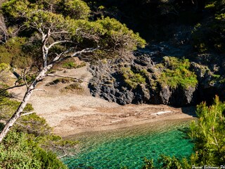 Crique -Presqu'île de Giens
