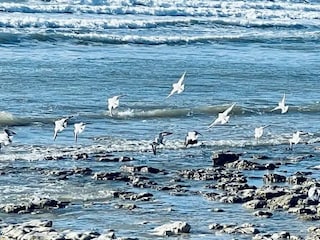 Villa Sainte-Marie-de-Ré Umgebung 47