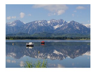 © S. Brangenberg Tretboote auf dem Hopfensee